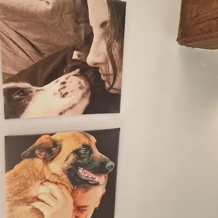 Sweet Olivia By Tramonti *