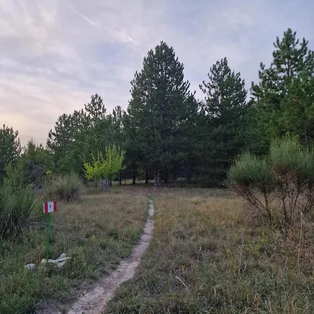 Sweet Olivia By Tramonti Apartment *