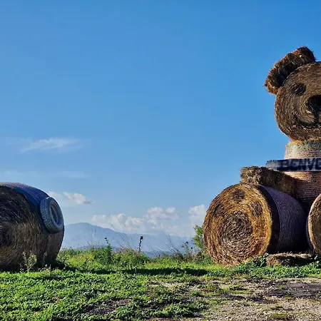 Sweet Olivia By Tramonti *