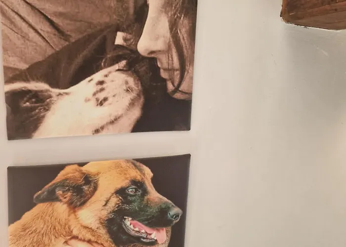 Sweet Olivia By Tramonti *