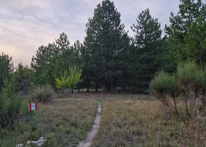 Sweet Olivia By Tramonti Daire *