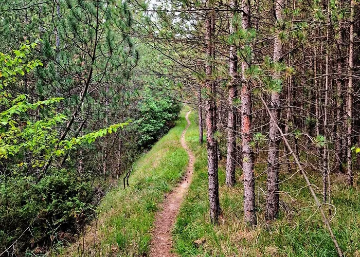 Daire Sweet Olivia By Tramonti