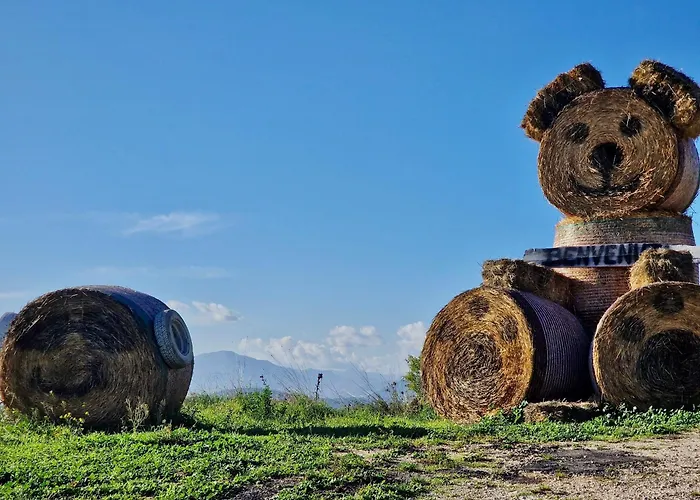 Sweet Olivia By Tramonti *